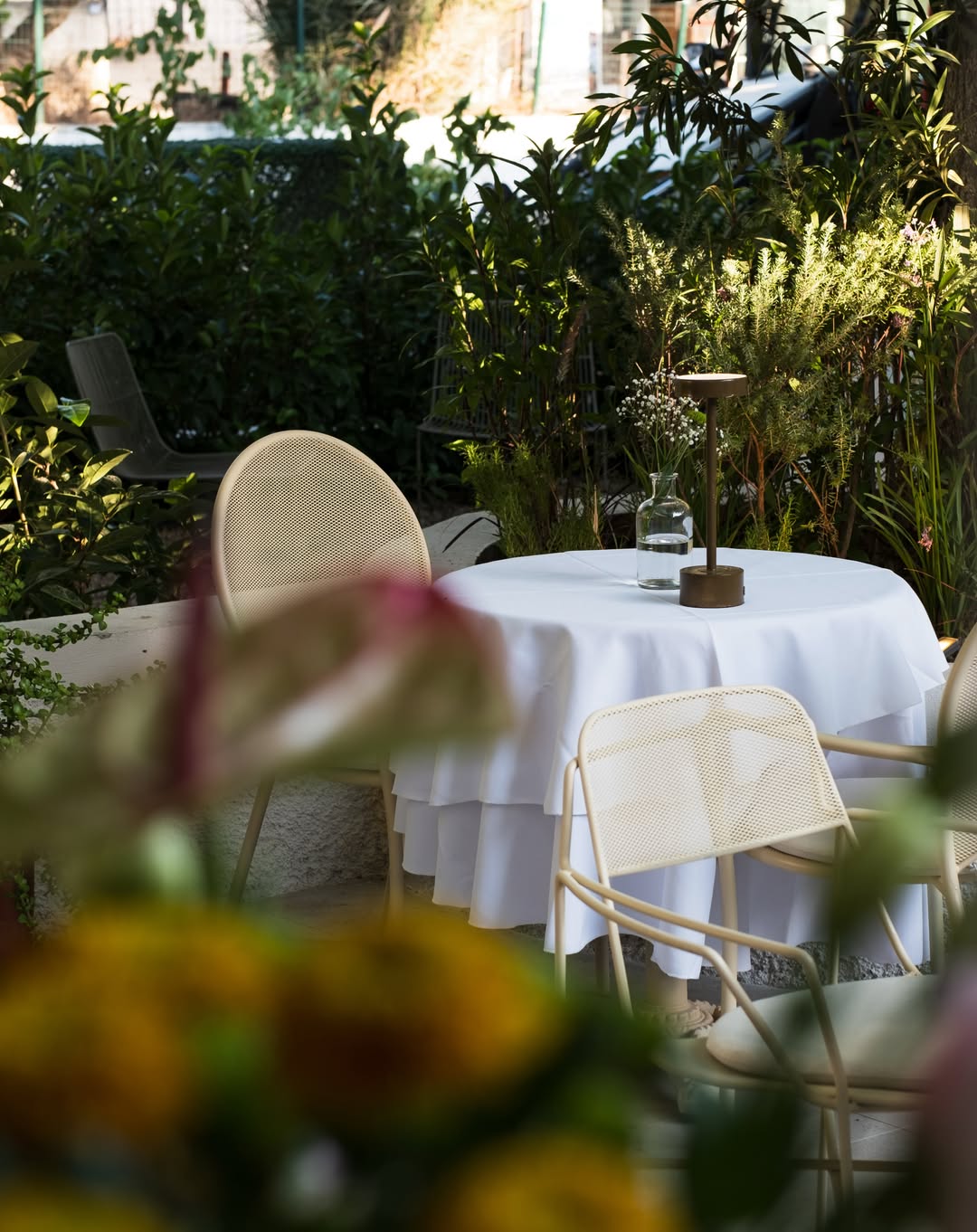Dereköy Lokantası - Restaurant in Dereköy, Bodrum