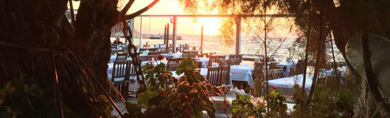 Hasan'ın Yeri - Restaurant in Yalıkavak, Bodrum